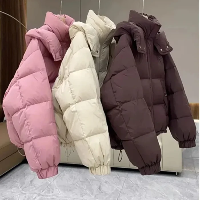 Hooded Puffer Jacket