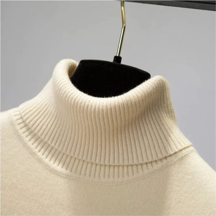 Turtle Neck Sweater